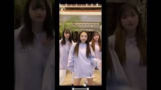 Tiktok毎日投稿中 Monstercats3月中にフォロワー150人目指してます