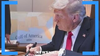 Trump 'gold card' pitch is a great solution to solve debt issue: Jon Najarian | NewsNation Prime