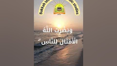 آية 35 من سورة النور بصوت الشيخ أحمد حسني أستاذ القرآن بمعهد بكة للدراسات العربية - Bakkah Institute