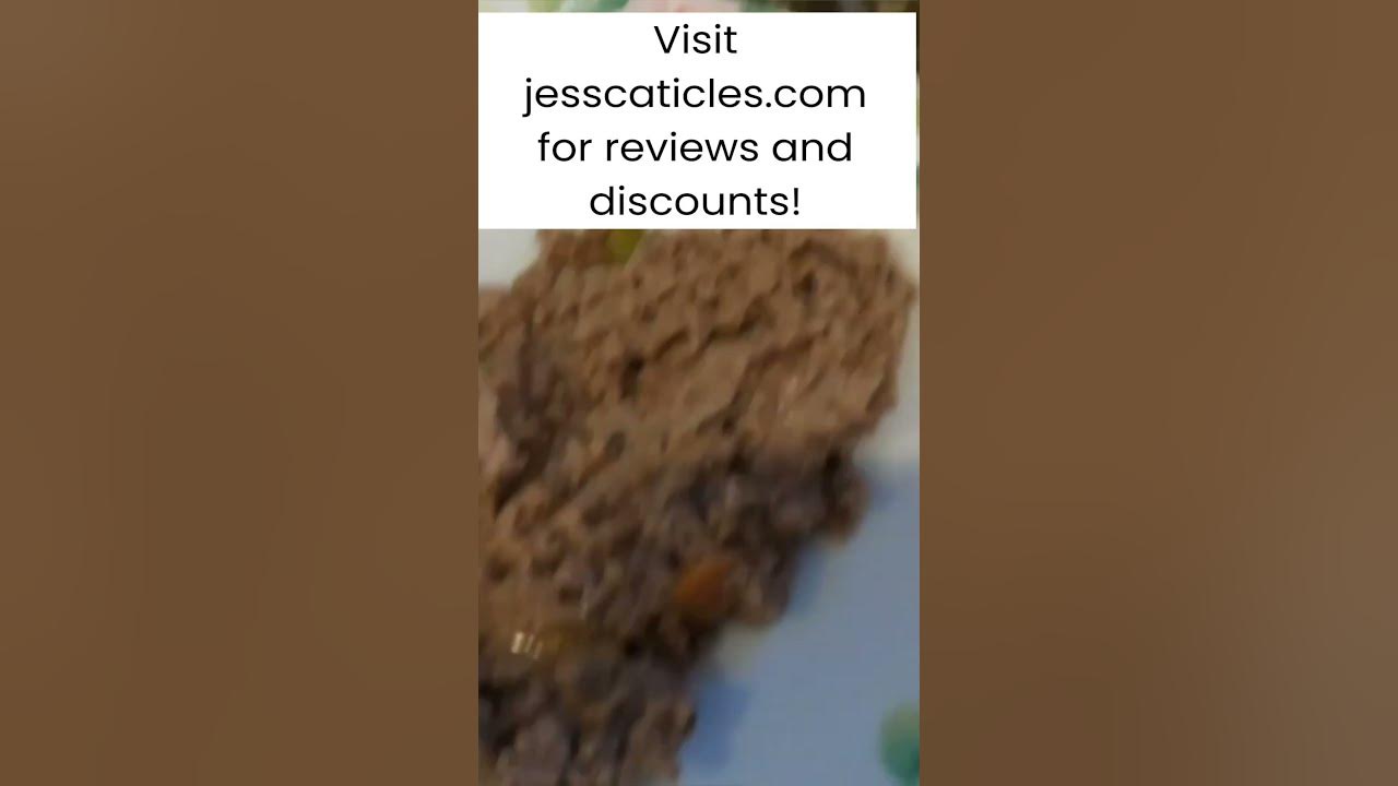 best-wet-food-for-picky-cats-shorts-youtube