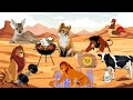 الأسد سيمبا يرد الجميل قصص عربية مغامرات الحيوانات الأسد الملك Nadi Elhwadit رسوم متحركة كرتونية الأسد سيمبا يرد الجميل قصص عربية مغامرات الحيوانات الأسد الملك Nadi Elhwadit رسوم متحركة كرتونية