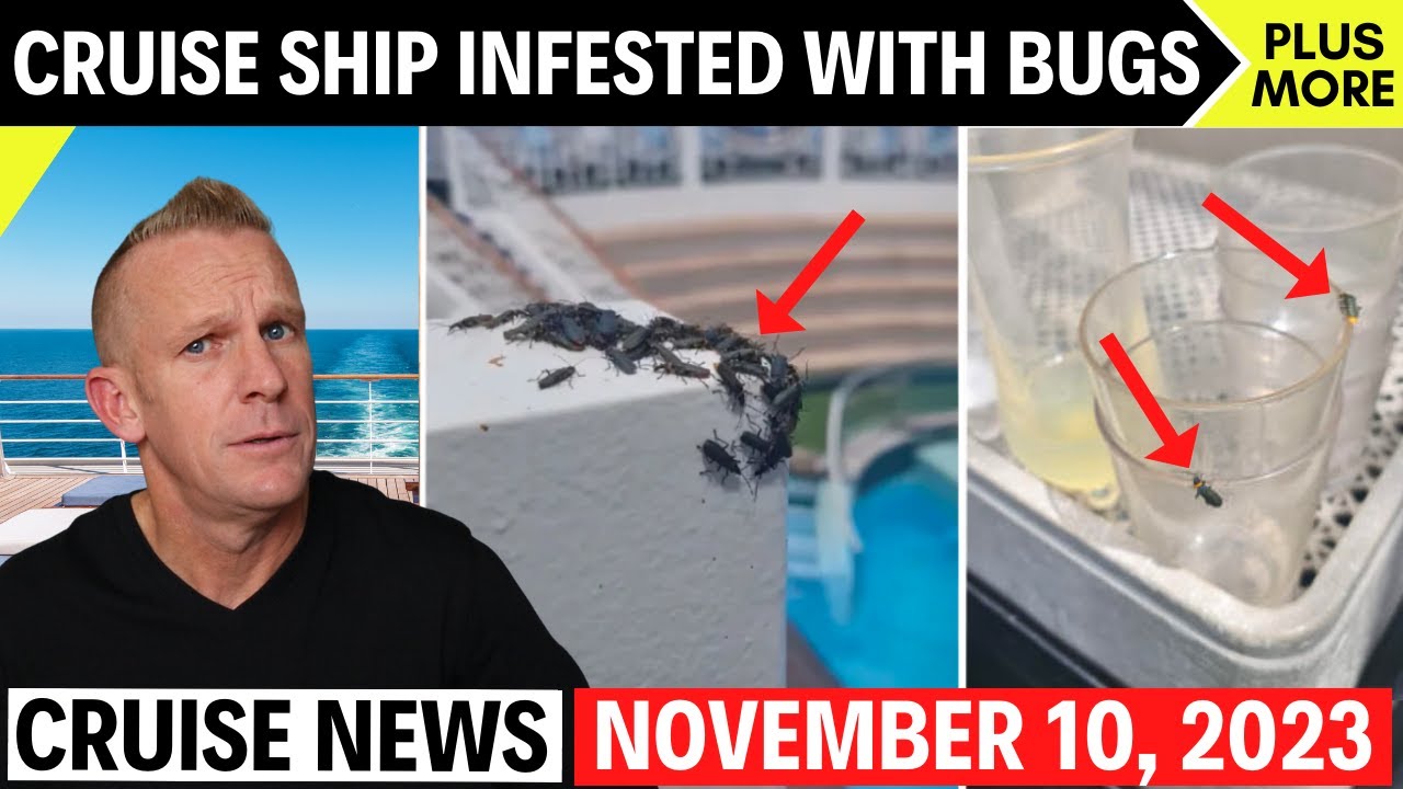 Cruise News *REVOLTING* Insects Overtake Ship (& Top Updates)