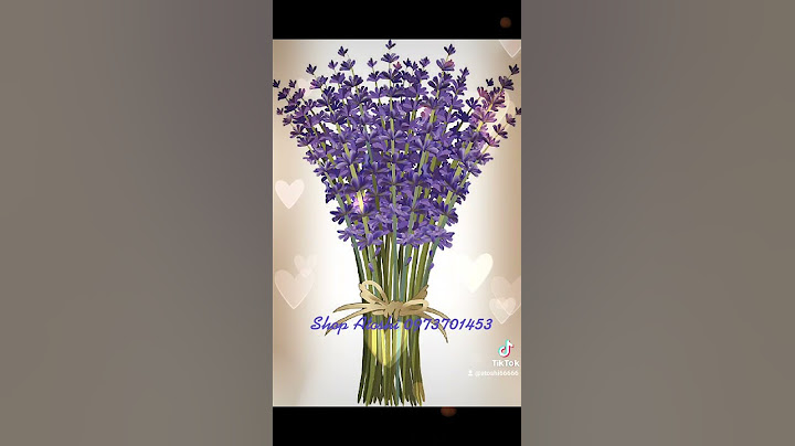 Hoa lavender trồng ở nhiệt độ bao nhiêu thì đc năm 2024