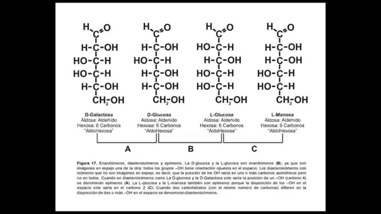 Cual Es La Nomenclatura De Los Carbohidratos Balan