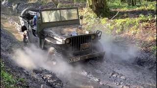 WW2 Willys Jeeps Axle Deep Mud Run, Green Laning 4X4 Offroad UK