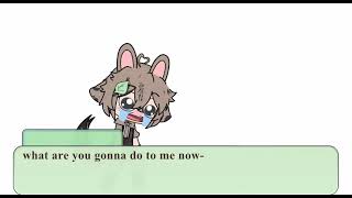 All my oc’s meet a UwU cat