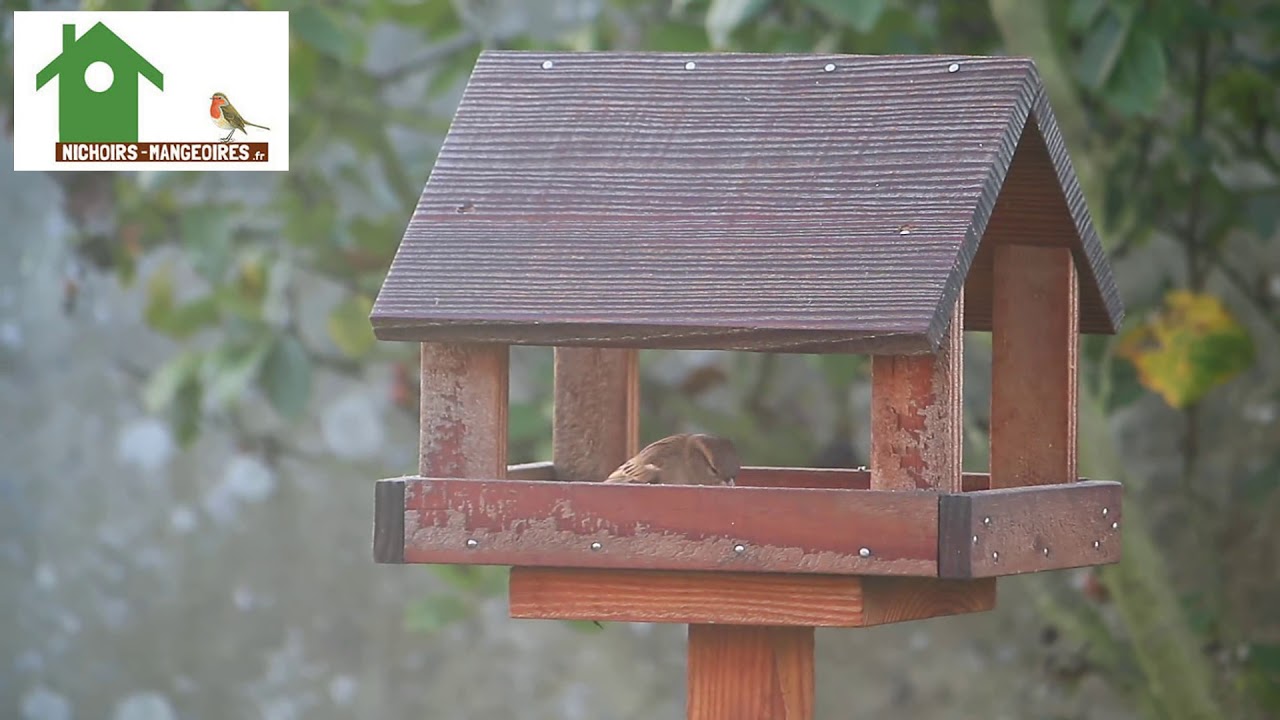 mangeoire sur pied en bois pour oiseaux des jardins YouTube