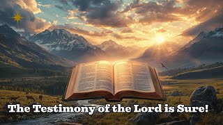 Unveiling God's Majesty Journey Through the Bible 🌟#risewithstefan #creator #christianinspiration