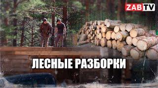 Жители Карповки: «Строители губят наш лес»