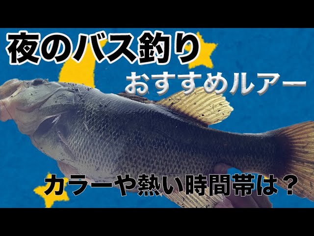 バス釣り 夜釣りのおすすめルアー ワーム解説 釣れるカラーや時間帯のポイントを紹介 ブラックバス バスフィッシング Youtube