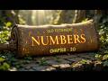 📖 Numbers - Chapter 20 | Old Testament | Christian Standard Bible | Light For The Soul 🙏