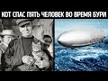 История о самом невероятном коте, спасшем судно во время бури