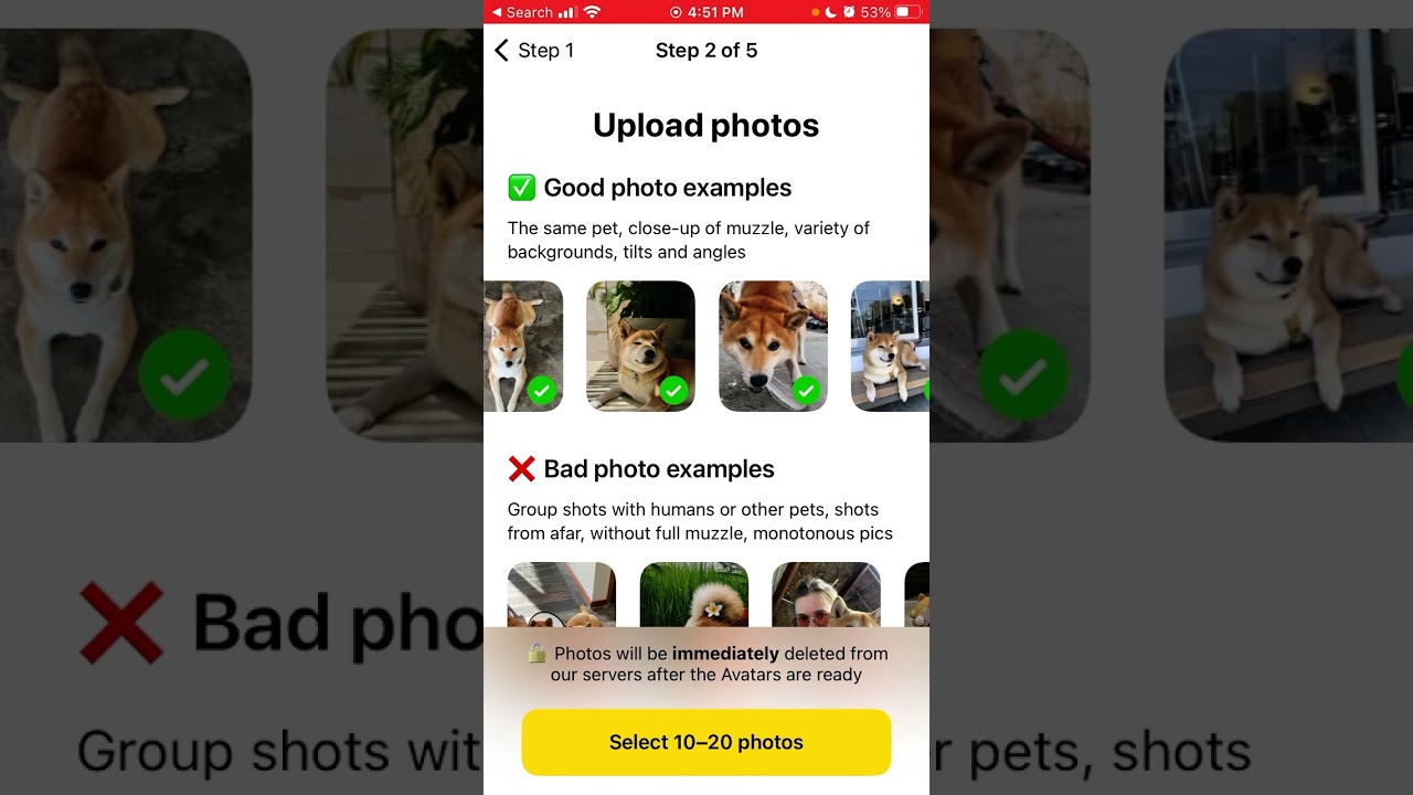How to create PETS AI AVATARS in Lensa AI app?