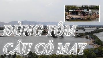 Đùng Tôm Cầu Cỏ May Bà Rịa Vũng Tàu, Khu Nuôi Trồng Thuỷ Sản Nước Mặn Quanh Bà Rịa