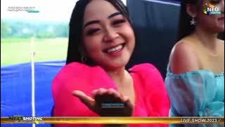 Download lagu New palapa Brodin sia-sia mengharap cintamu