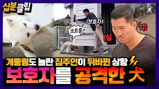 [십분클립] 보호자한테도 위협이 되는 역대급 고민犬 영구🐶 현관문까지 물어뜯은채 사나운 입질까지😱ㄷㄷㅣ KBS방송