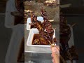 行列必須!地方からもわざわざ訪れに来る伝説のホルモン屋!【やまき】