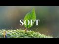 Peaceful Acoustic Guitar | Deep Focus &amp; Calm Mind Music