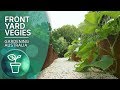 Growing vegies in style in a small space garden