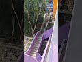 sekolahku part 1
