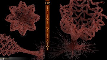 TP6 Spline operator (Rope)