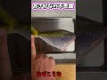 魚体をなでると模様が出てくるよ！みんなも釣った魚で試してみて！