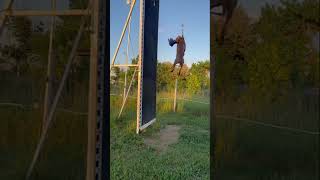 Jumping Dogs Champion Pit Bull Can Leap Up Four Metre Walls