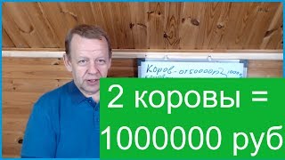 Бизнес в деревне 2 коровы. Семья может получить 1000000 рублей в год.