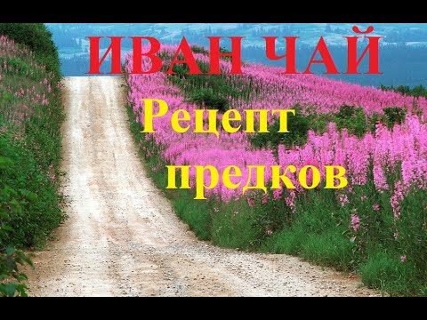 Иван чай (кипрей ).Старинная и правильная обработка .Рецепт предков