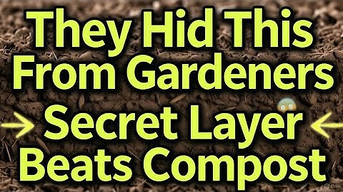 They Lied About Mulch: This Hidden Layer Feeds Soil Faster Than Compost!