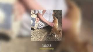 abdul hannan —  raabta (slowed   reverb)