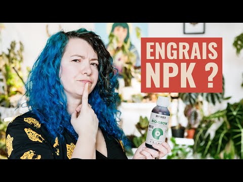 🪴Quel engrais pour mes plantes d'intérieur ? Guide de base sur les Engrais NPK 👩‍🌾