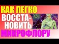 Как восстановить микрофлору кишечника.Топ 10 натуральных продуктов с пробиотиками.