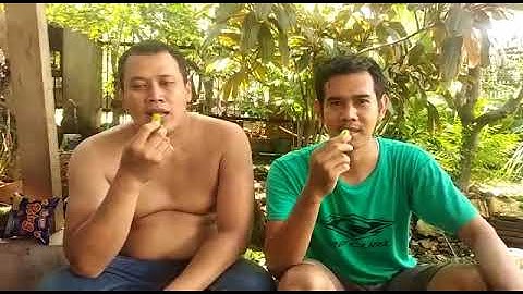 Tantangan makan belimbing wuluh tanpa ekspresi
