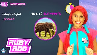 Ruby Roo Learns About Animals | DIY Projects | Adventures and Activities For Kids