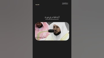 100 قارئ في مئة يوم اليوم (2)