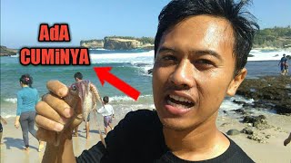 Free Download Lagu Pacitan Wisatawan Padati Pantai Klayar