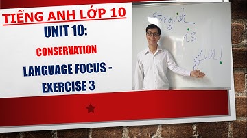 Tiếng Anh lớp 10 - Học SGK - Unit 10: Conservation - Language focus - Exercise 3