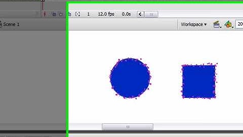 Use the Paint Bucket Tool in Flash CS3