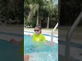 #fullmasti #shortvideo #swimming pool #dehardun #Kajal #full masti#full enjoy 😉#pool #instareels