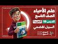 السبيل الهضمي الدرس 19 الجزء 1 علوم الصف التاسع المنهاج السوري 2025 2026 