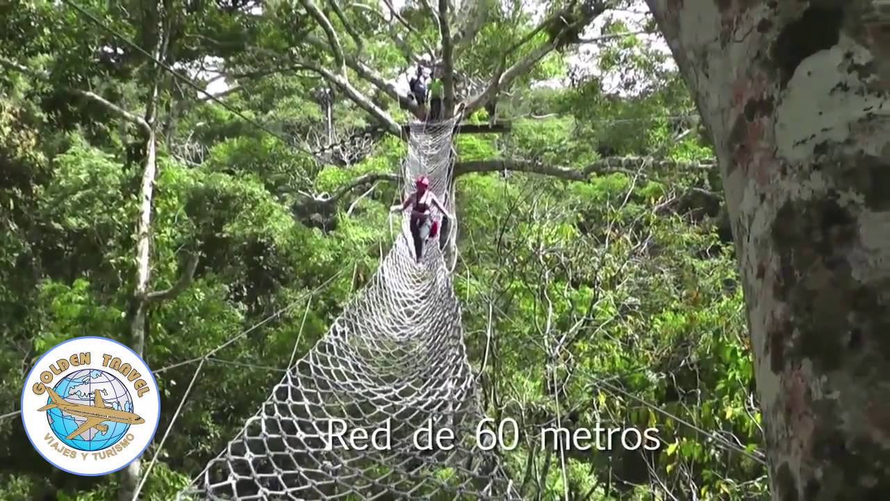 Hotel Amazon On Vacation YouTube