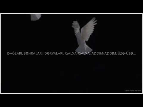 Aydın Sani - Sənsiz olmur / 2018