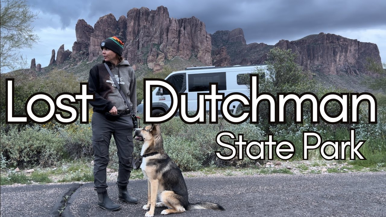 Неожиданная находка в кемпинге государственного парка «Затерянный голландец» | Чего ожидать