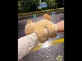 Who could resist a capybara that hugs its hands?