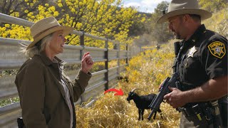 Courageous Team Saves Black Twin Goats From Ferocious Wolf Pack 🐺🐐