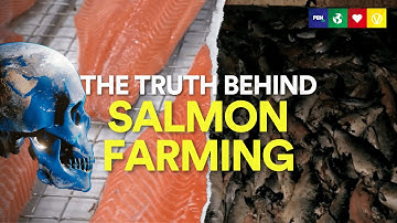 The Salmon Industry Doesn