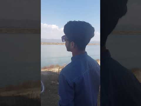 Zrori Tha By Muneeb Amir