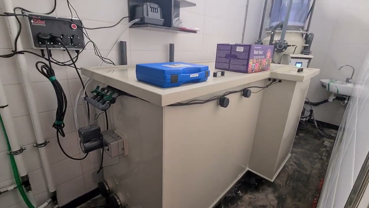 Finishing filtration room for MEGA reeftank!