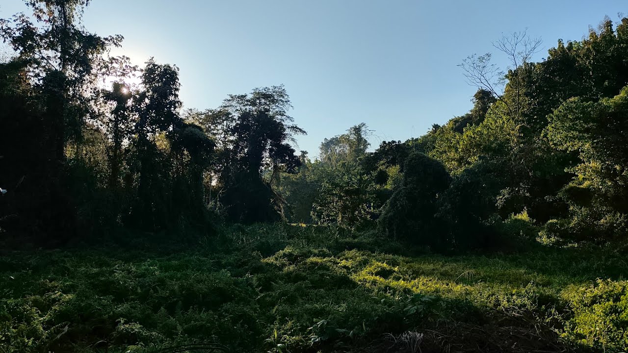 Playlist 9 | Tzüza Imchen. Ao hymnal.